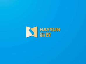 海智品牌VI設(shè)計 海雙信息科技的企業(yè)形象與文化傳達
